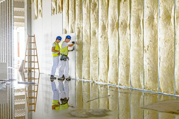 Best Commercial Insulation in Hughson, CA